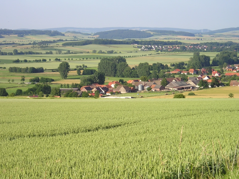 Blick auf Krimmensen von Feldmark aus&nbsp;&copy;&nbsp;Stadt Dassel